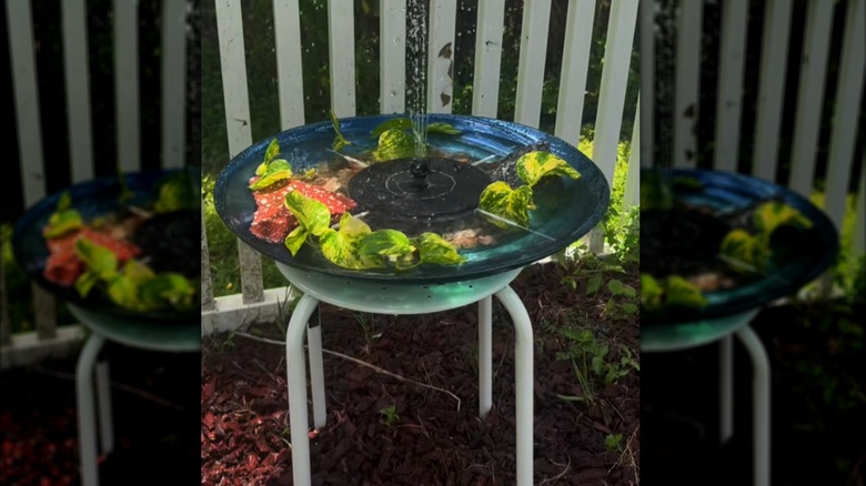 Bird bath made with thrifted stool