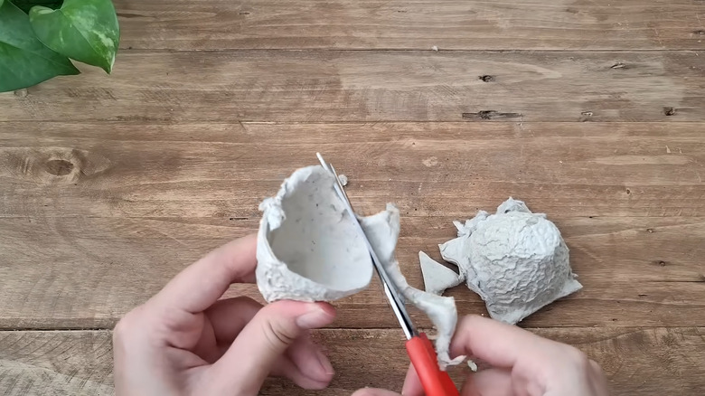 Person cutting apart egg cartons with scissors