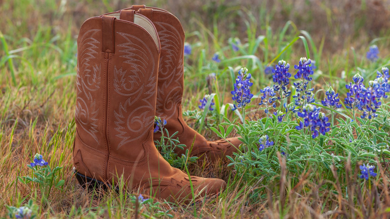 Boots sitting in grass with purple flowers