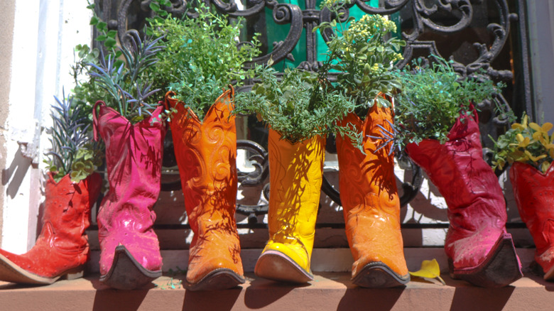Colorful boots turned into planters