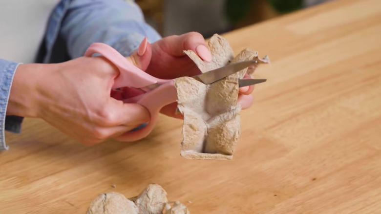 Person cutting up egg cartons for a craft