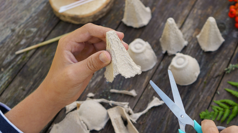 Person cutting apart egg cartons for crafts
