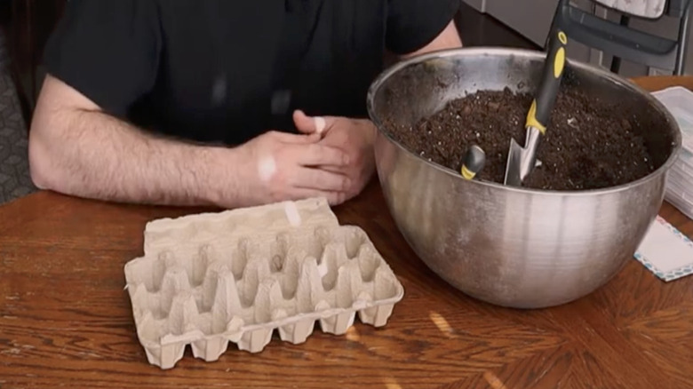 A man making an egg carton seed starting container and tray.