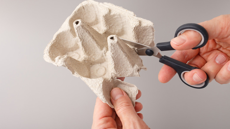 Person cutting egg carton with scissors