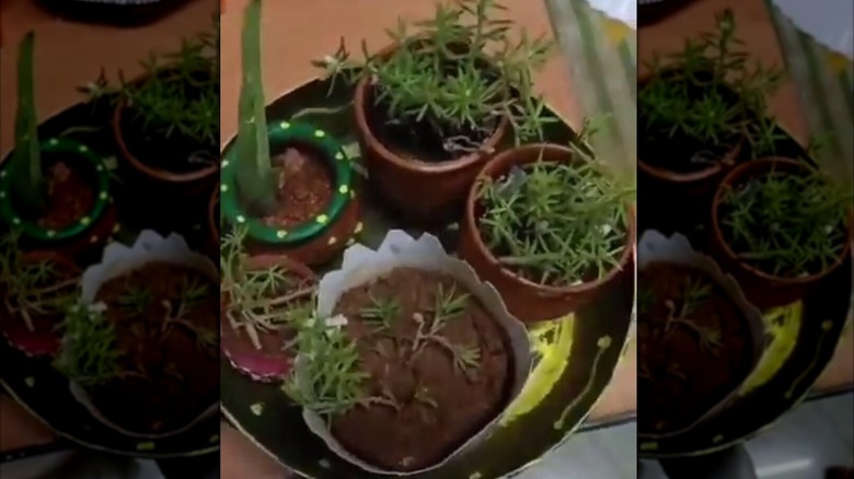 Smaller pots sitting inside a decorated skillet