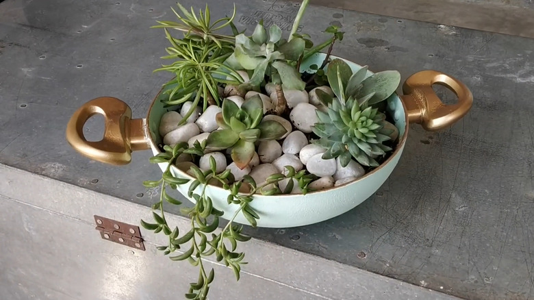 Succulent planter made from a double-handled skillet