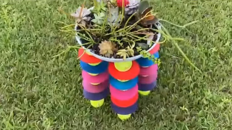Elevated planter made from a frying pan, CDs, and tennis balls
