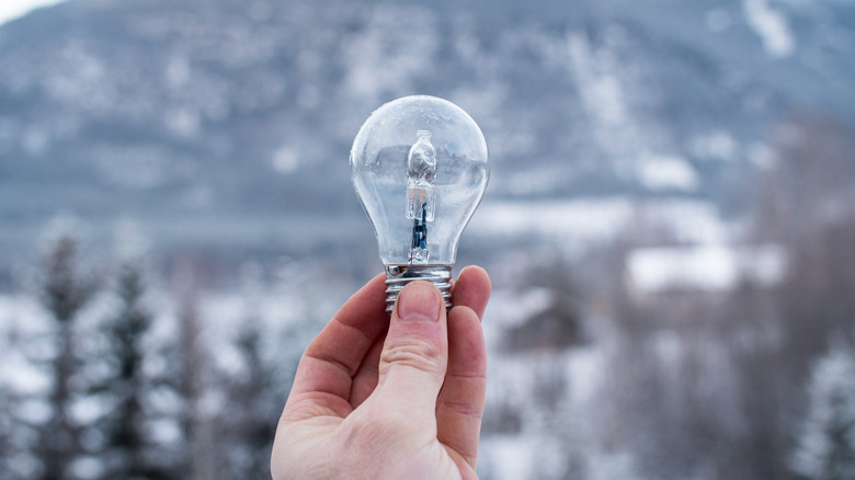 Holding a lightbulb up in the snow
