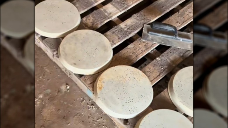Round DIY pavers sitting on a pallet