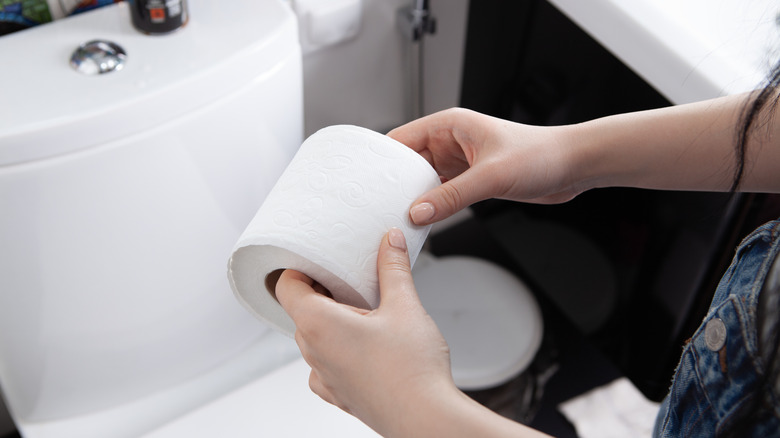 A person holding a roll of toilet paper in a bathroom