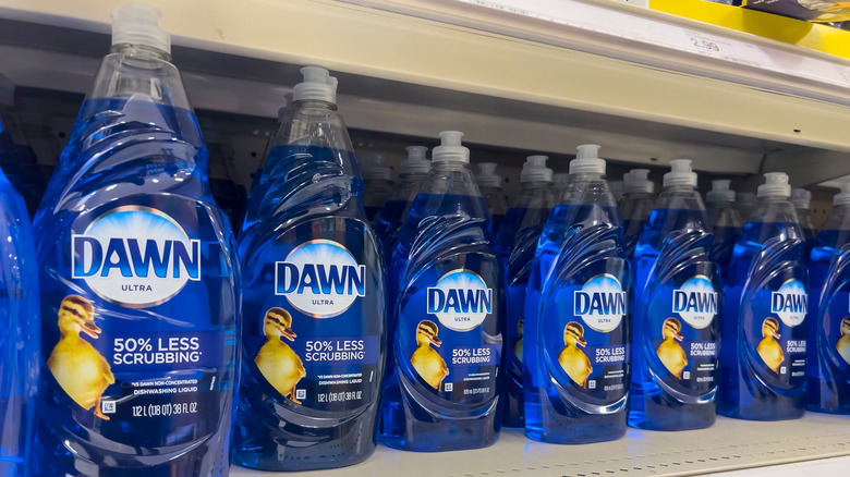 Bottles of Dawn dish soap sitting on store shelf
