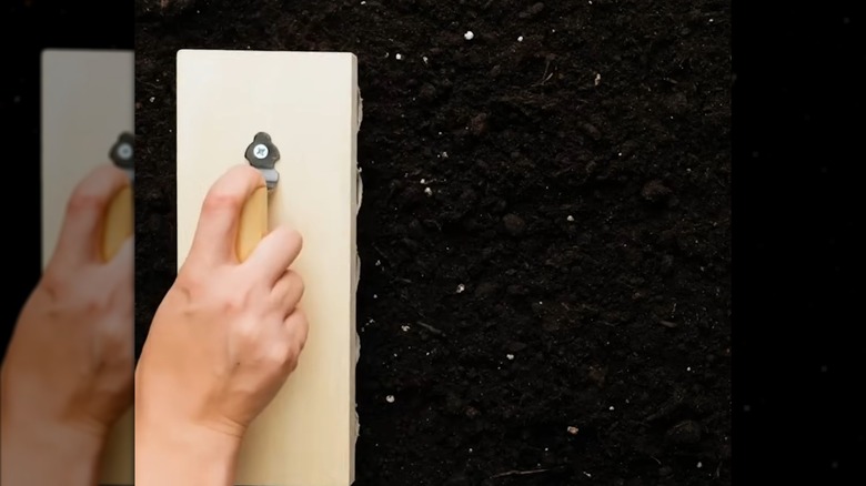 Person using the egg carton soil stamper to make holes in the soil