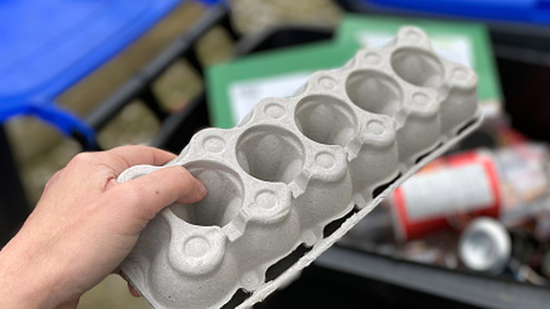 Person saving cardboard egg carton from trash