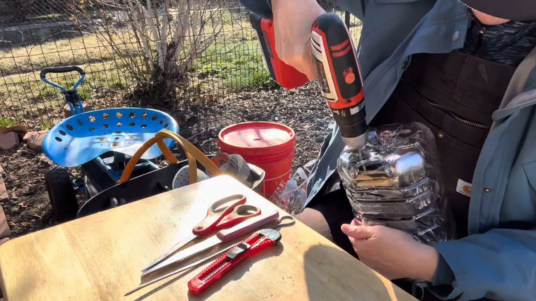 Gardener drilling holes in the bottom of a water jug to use for winter sowing