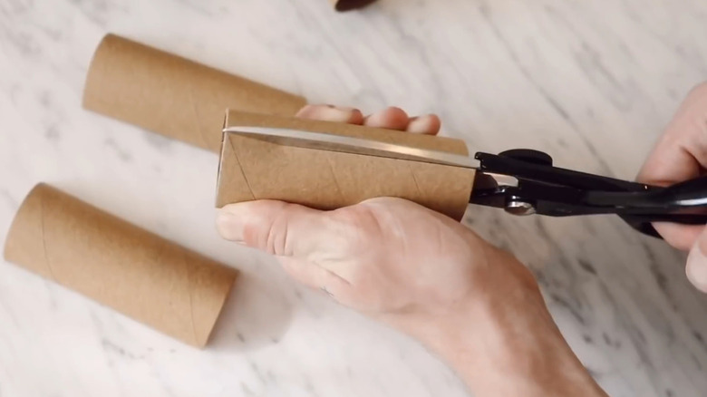 A person cuts through an empty toilet paper roll with scissors