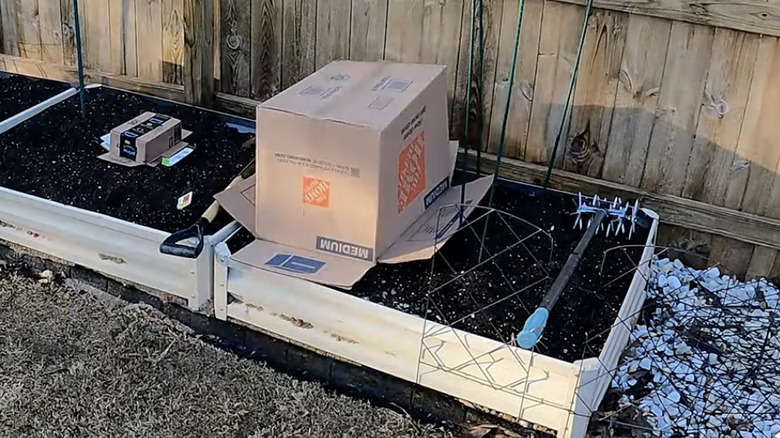 Cardboard boxes placed on plants in raised garden beds