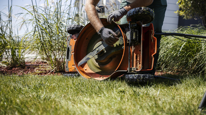 A person adjusting adjusting the blade on a push lawn mower.