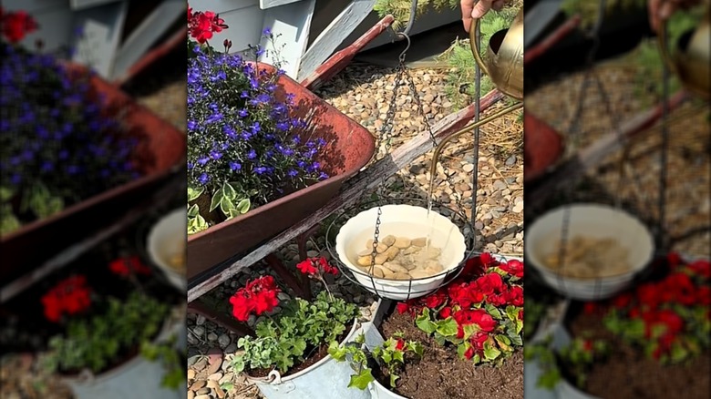 Creator filling an ironstone bowl sitting in a hanging planter frame to use as a bird bath