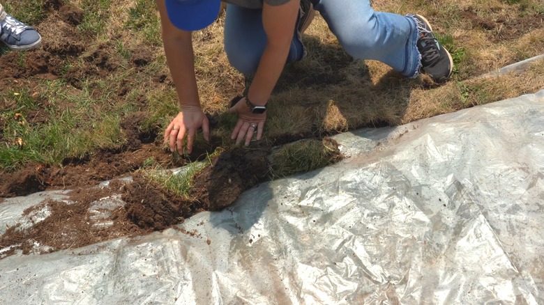 Man laying clear tarp over yard and locking it in place with extra soil
