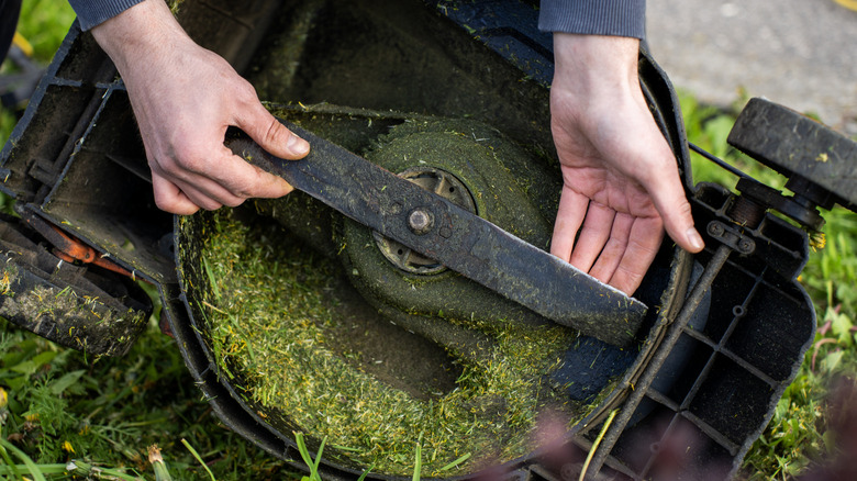 Stuck grass on the bottom of a mower deck