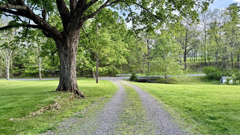 A long winding gravel road in