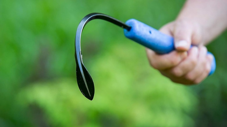 Person holding CobraHead original weeder and cultivator with blurred green background