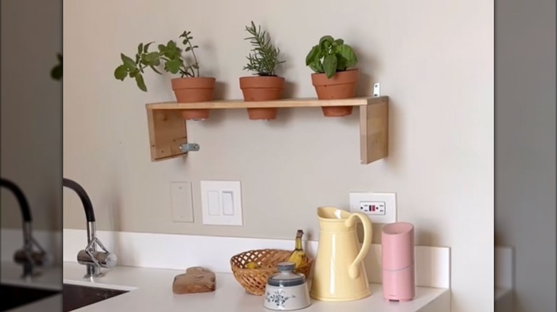 A shelf containing three terracotta pots filled with herbs hangs on the wall above a kitchen countertop