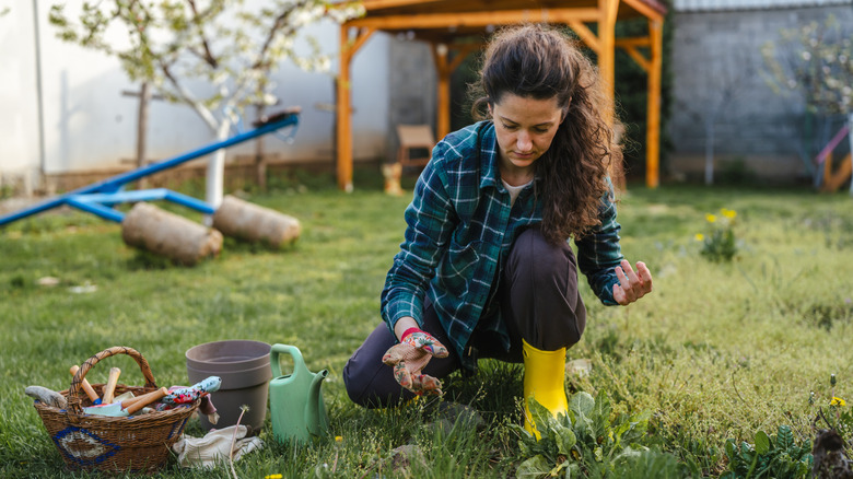 a gardener kneels beside garden tools on a shady lawn