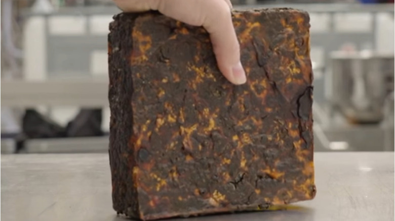 A hand holds a mycelium brick