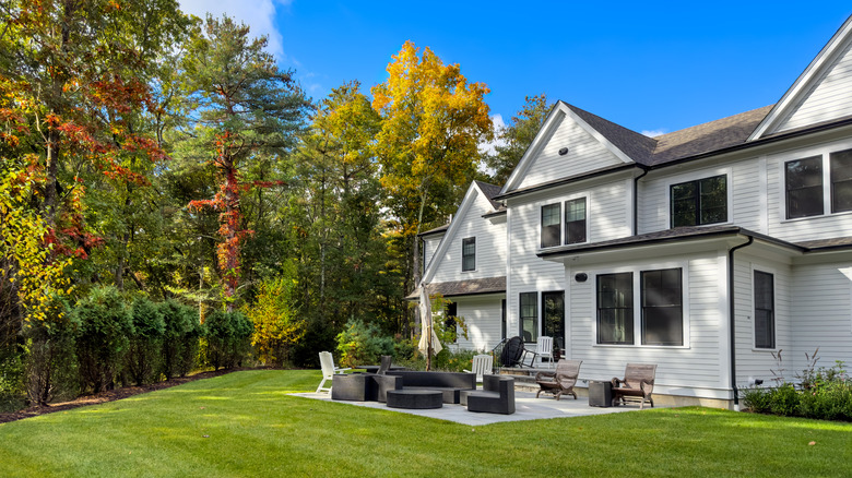The backyard of a house surrounded by tall trees