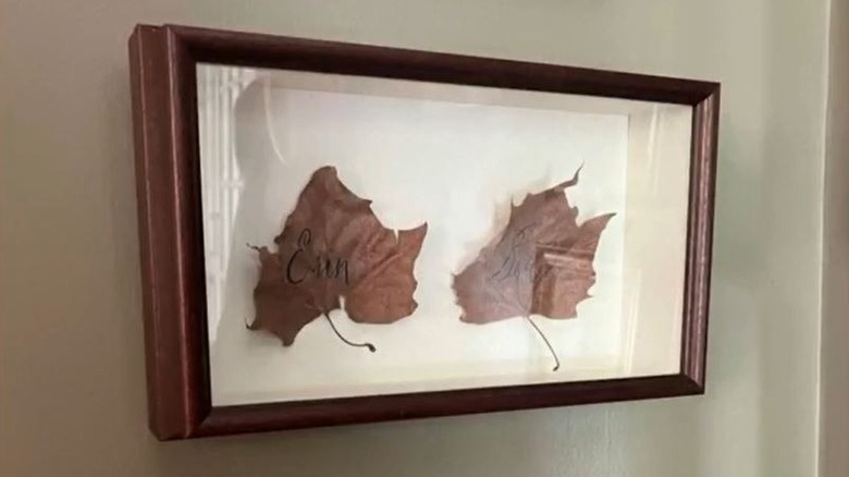 Erin Napier's shadow box with memorable leaves