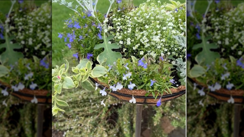 lamp turned into a planter