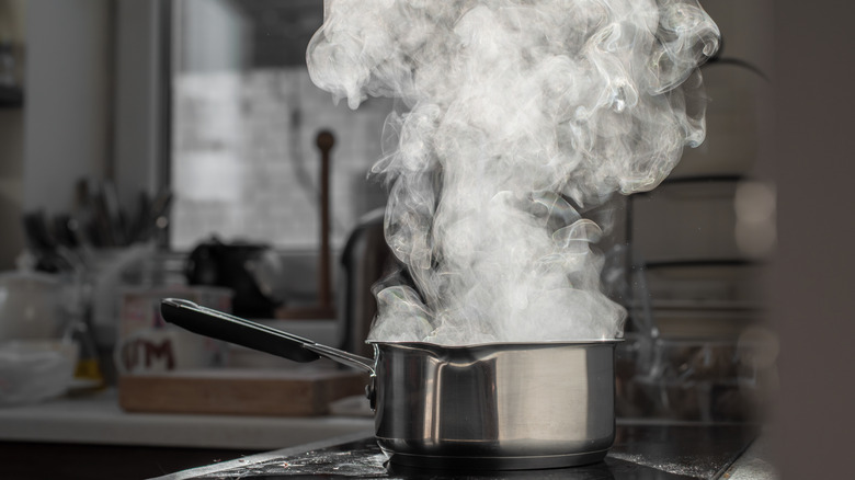 pot of vinegar and water steaming on the stove