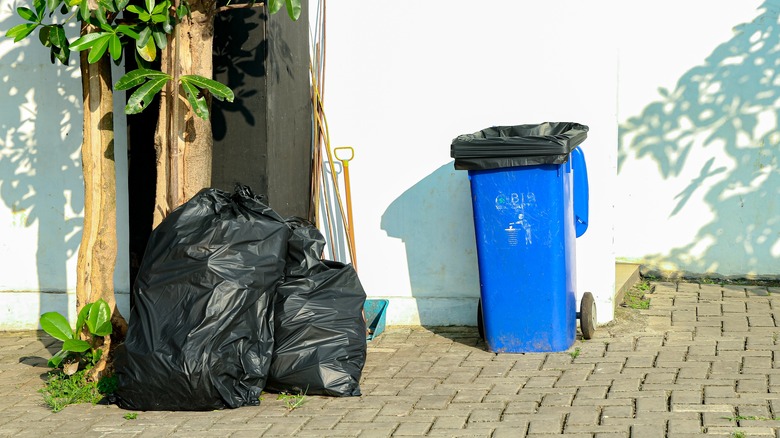 Trash bags and blue recycling bin on brick patio outside white adobe house