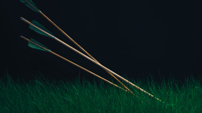 Wooden arrows stuck in grass