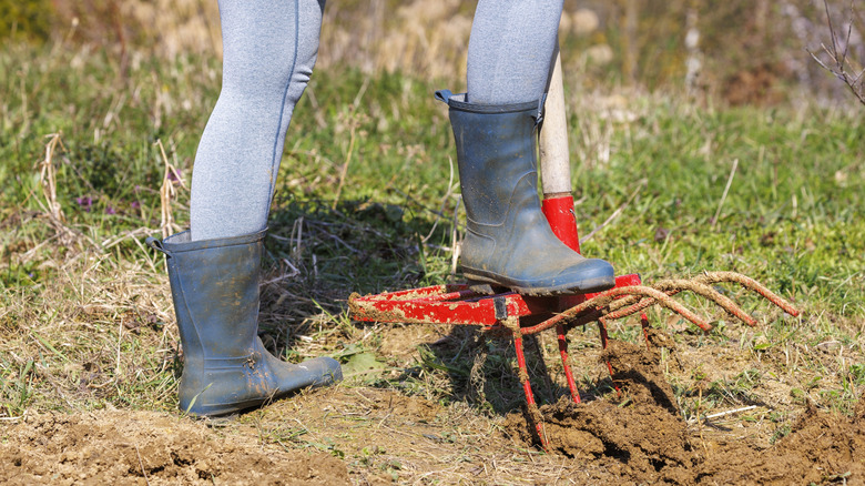 Aerating a garden bed with a generic broadfork