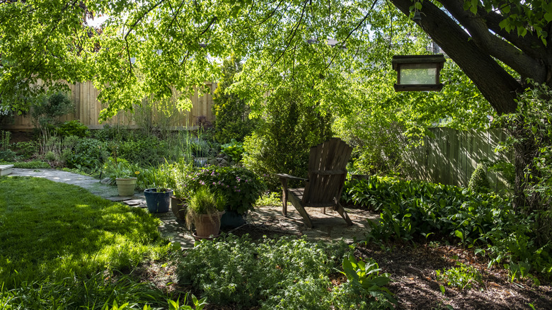 A backyard shade garden under a tree canopy, with a wooden chair and bird feeder creating a relaxing space.