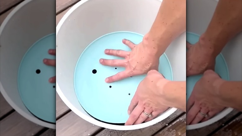 Person using a plastic plate as a pot insert to fill a large container.
