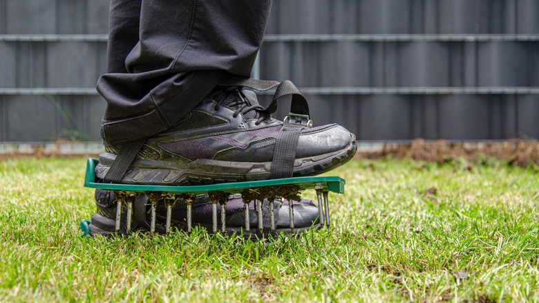 person aerating lawn using aeration shoes