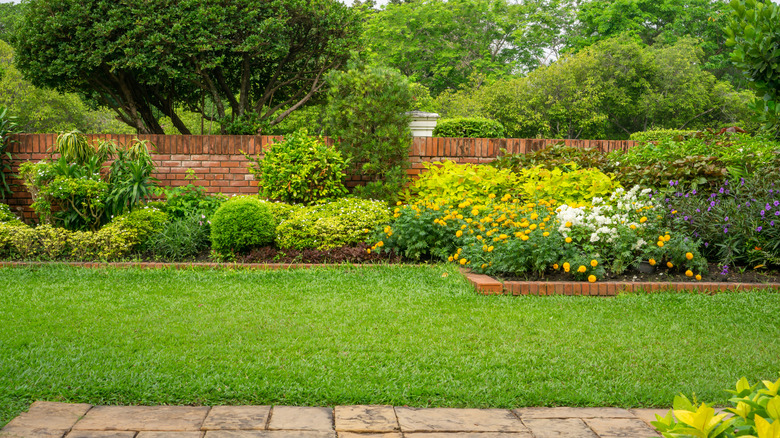 A lush yard surrounded by trees and a wall