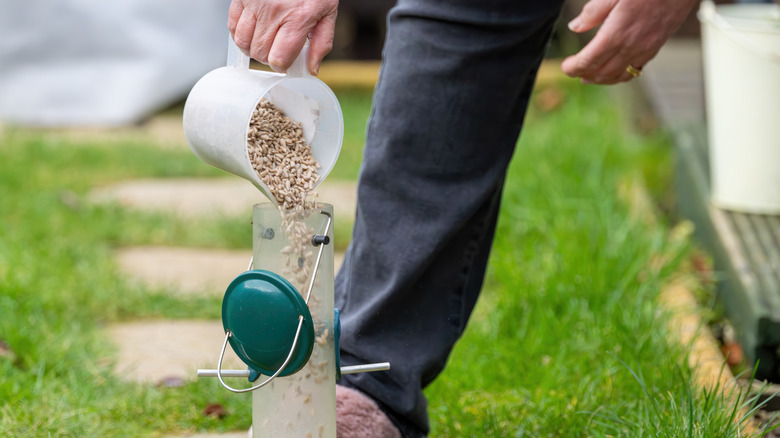 Person pouring seeds into a bird feeder