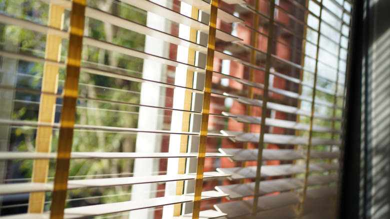 open blinds on a window