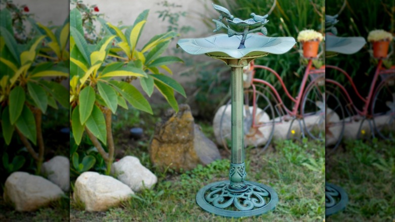 Alpine Corporation Outdoor Lotus Birdbath in home backyard