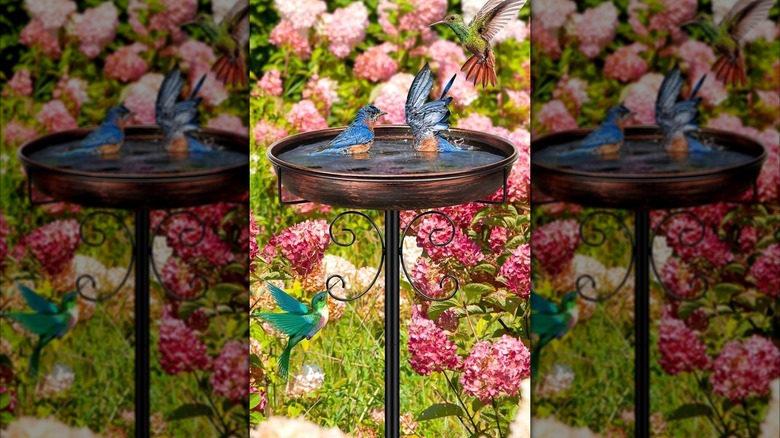 Daoeny Metal Bird Bath filled with water and two birds on top