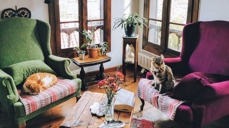 A cozy living room with grandmacore elements including vintage velvet chairs and wooden side tables - plus cute cats