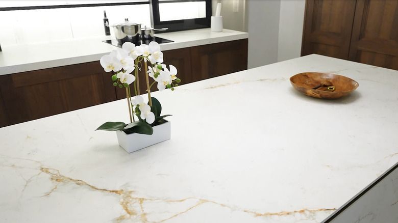 Sintered stone countertops in a luxury kitchen
