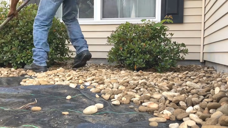 Person in jeans laying light-colored river rocks around home entryway with bushes over black tarp