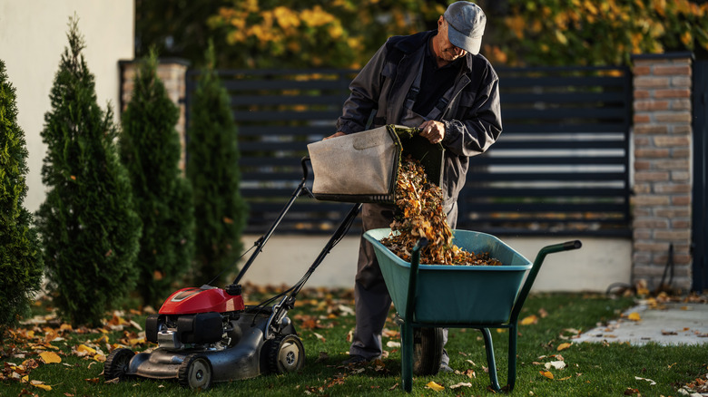 A man standing beside a lawn mower, pouring autumn leaves in a wheelbarrow