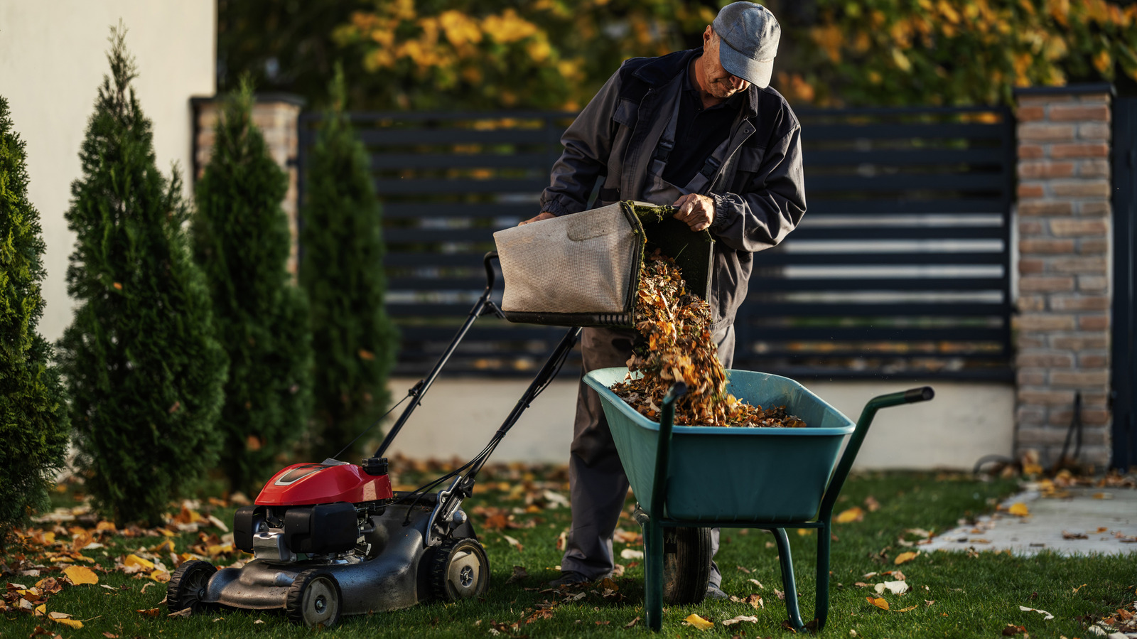 Forget Lawn Mowers: There's A Neat Tool For Shredding Fall Leaves