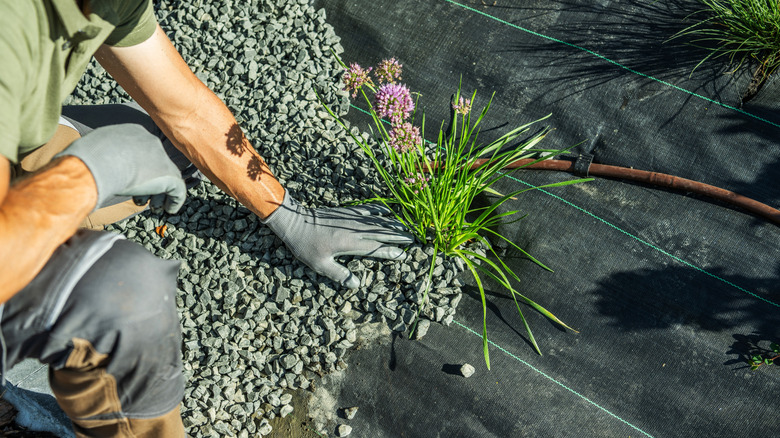 a landscaper installs gravel on top of weed-blocking fabric